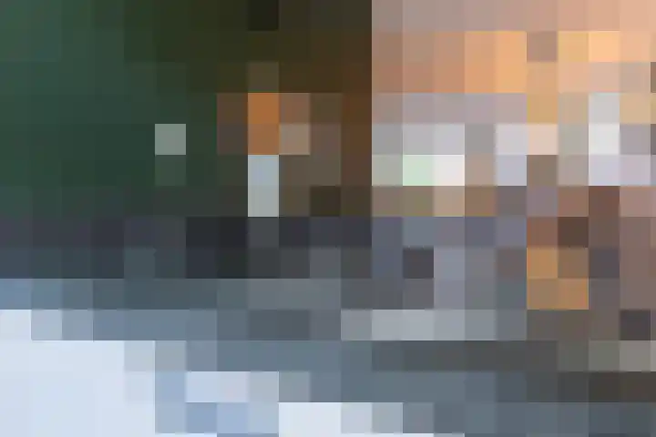 in d' Hoef 89 Hoogerheide thumbnail 13