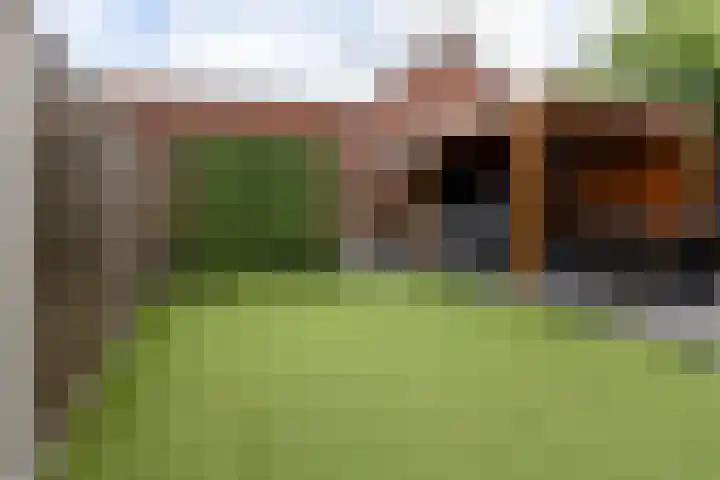 in d' Hoef 89 Hoogerheide thumbnail 36