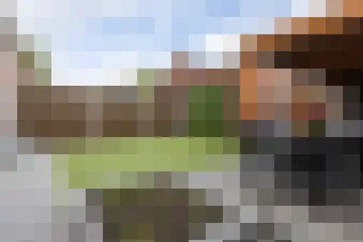 in d' Hoef 89 Hoogerheide thumbnail 37