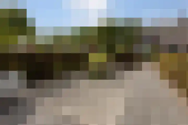 in d' Hoef 89 Hoogerheide thumbnail 42