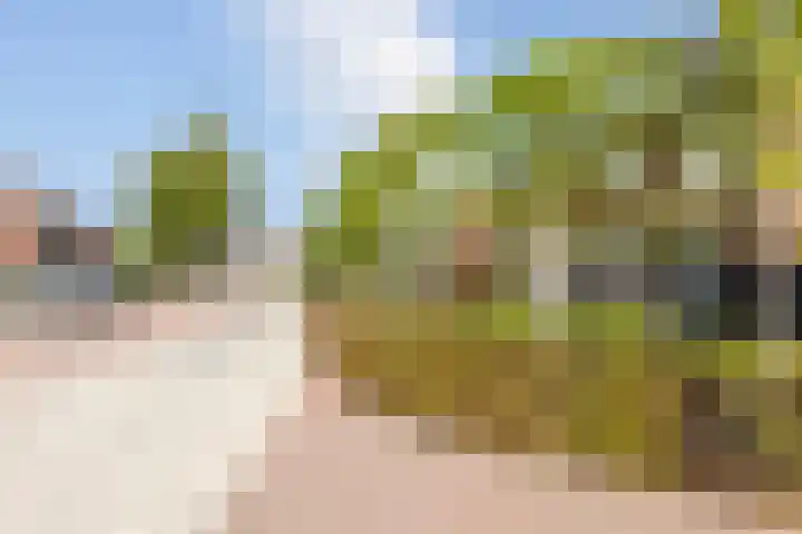 in d' Hoef 89 Hoogerheide thumbnail 44