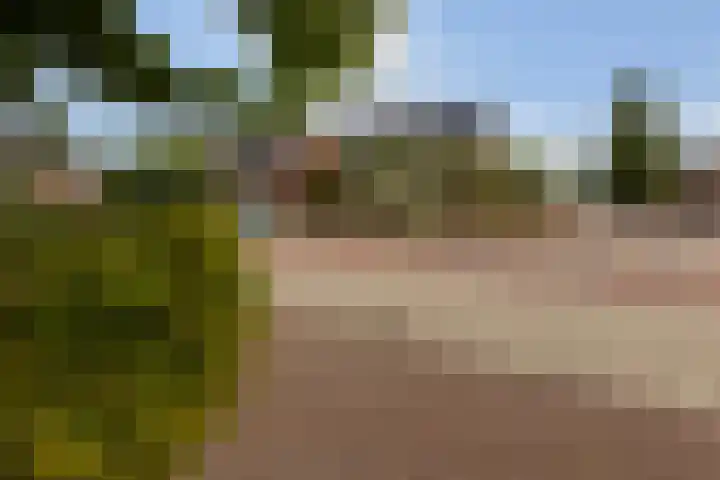 in d' Hoef 89 Hoogerheide thumbnail 45
