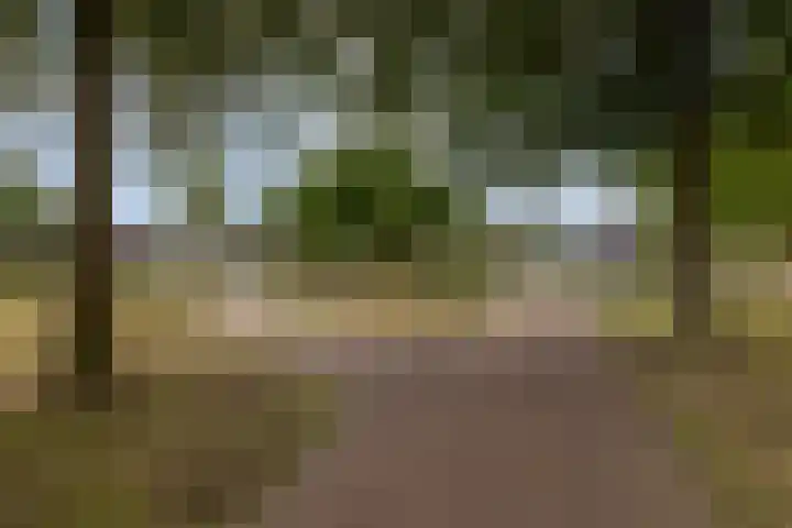 in d' Hoef 89 Hoogerheide thumbnail 46