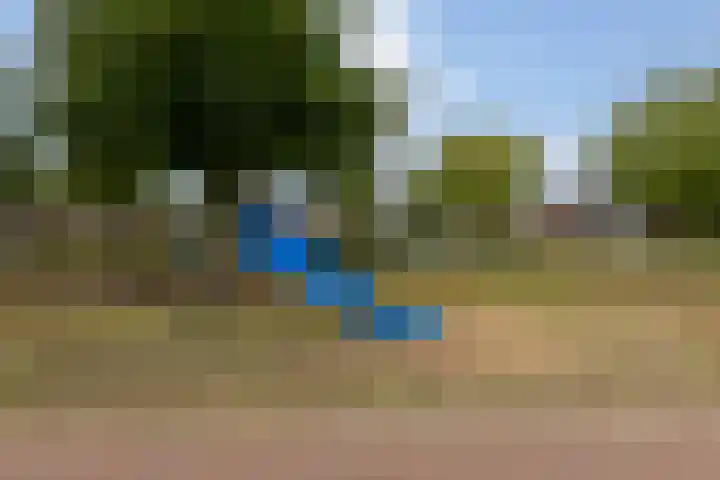 in d' Hoef 89 Hoogerheide thumbnail 47