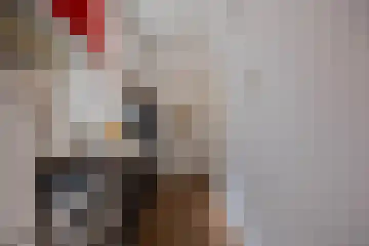 In de Betouwstraat 5 B Nijmegen thumbnail 14
