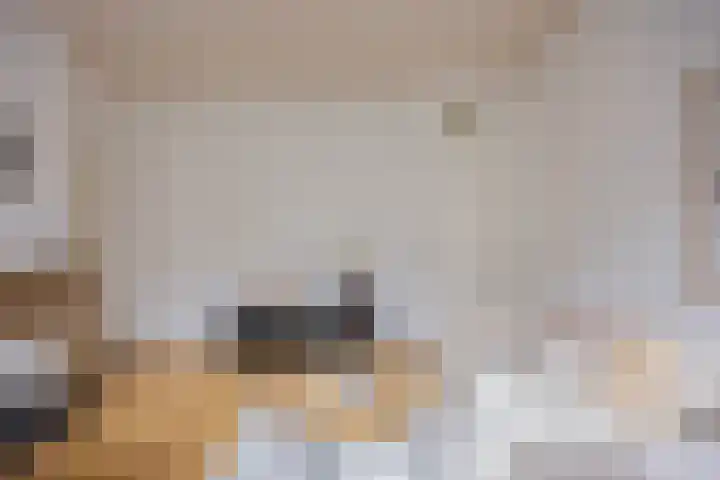 In de Betouwstraat 5 B Nijmegen thumbnail 9