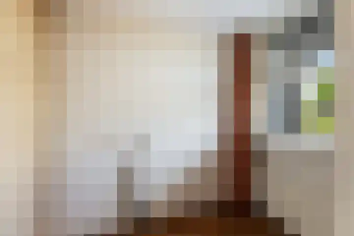 In de Bogerd 34 Stolwijk thumbnail 17