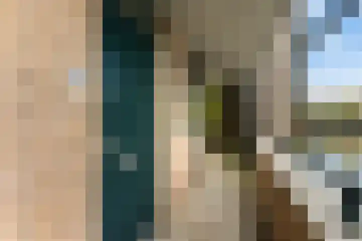 In de Bogerd 34 Stolwijk thumbnail 20