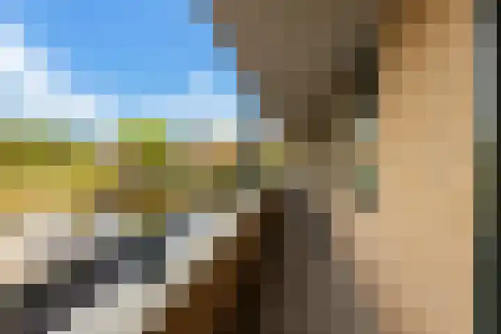 In de Bogerd 34 Stolwijk thumbnail 21