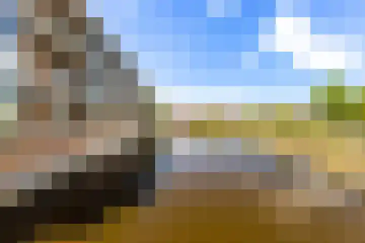 In de Bogerd 34 Stolwijk thumbnail 22