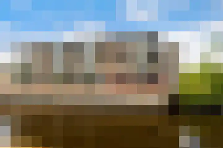 In de Bogerd 34 Stolwijk thumbnail 23