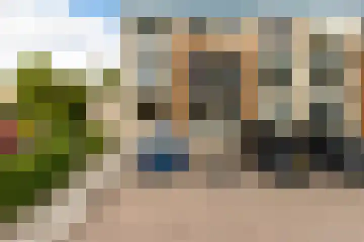 In de Bogerd 34 Stolwijk thumbnail 24