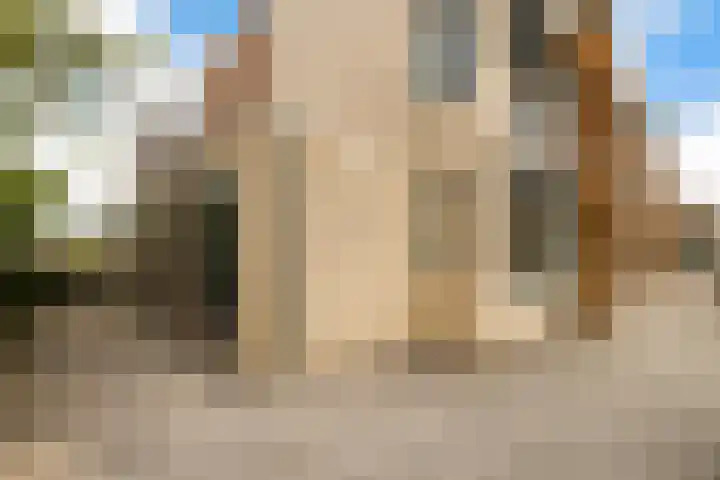 In de Bogerd 34 Stolwijk thumbnail 25