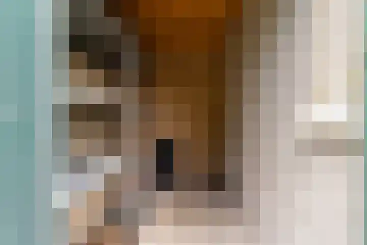 In de Bogerd 34 Stolwijk thumbnail 26