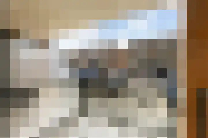 In de Bogerd 34 Stolwijk thumbnail 7