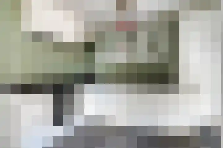 In de Bogerd 7 Stolwijk thumbnail 10