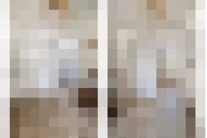 In de Bogerd 7 Stolwijk thumbnail 13