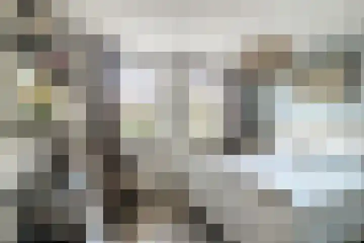 In de Bogerd 7 Stolwijk thumbnail 14