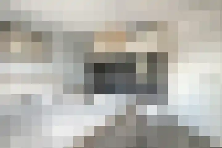 In de Bogerd 7 Stolwijk thumbnail 15