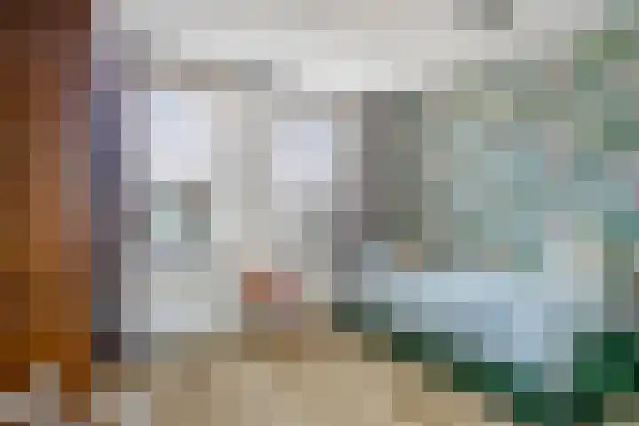 In de Bogerd 7 Stolwijk thumbnail 16