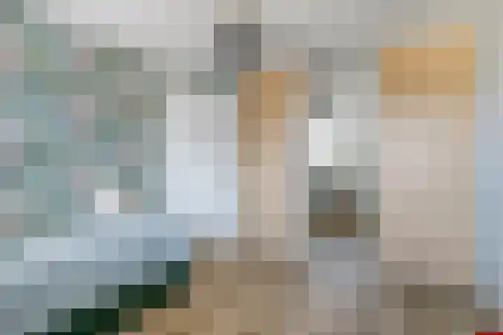 In de Bogerd 7 Stolwijk thumbnail 17