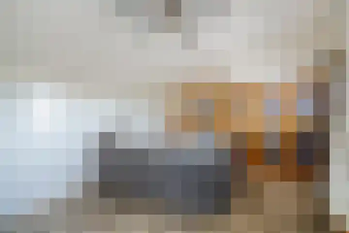 In de Bogerd 7 Stolwijk thumbnail 21