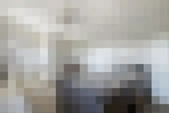 In de Bogerd 7 Stolwijk thumbnail 22