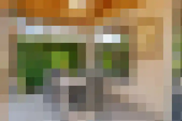 In de Bogerd 7 Stolwijk thumbnail 25