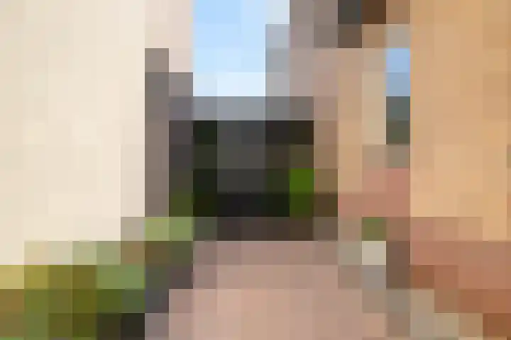 In de Bogerd 7 Stolwijk thumbnail 26