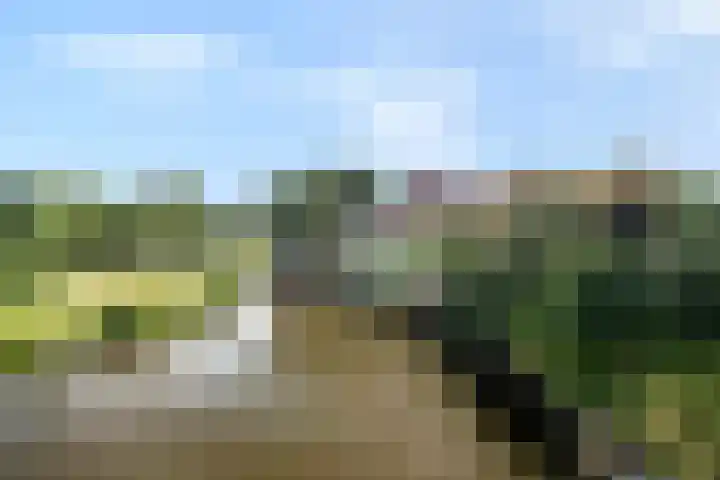 In de Bogerd 7 Stolwijk thumbnail 27