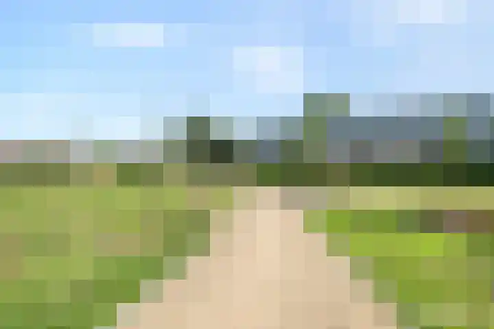 In de Bogerd 7 Stolwijk thumbnail 28