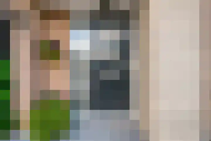 In de Bogerd 7 Stolwijk thumbnail 4