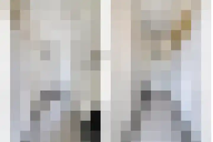 In de Bogerd 7 Stolwijk thumbnail 5