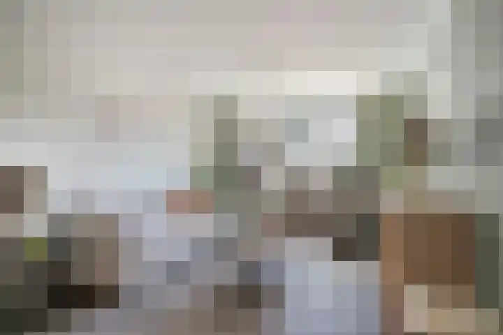 In de Bogerd 7 Stolwijk thumbnail 7
