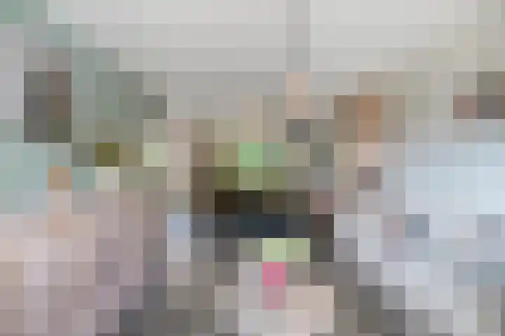 In de Bogerd 7 Stolwijk thumbnail 8