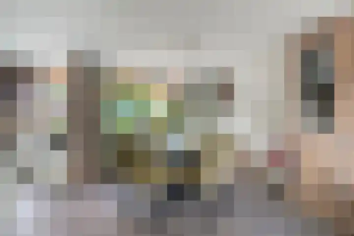 In de Bogerd 7 Stolwijk thumbnail 9