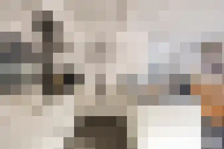 In de Bongerd 21 Bunde thumbnail 10