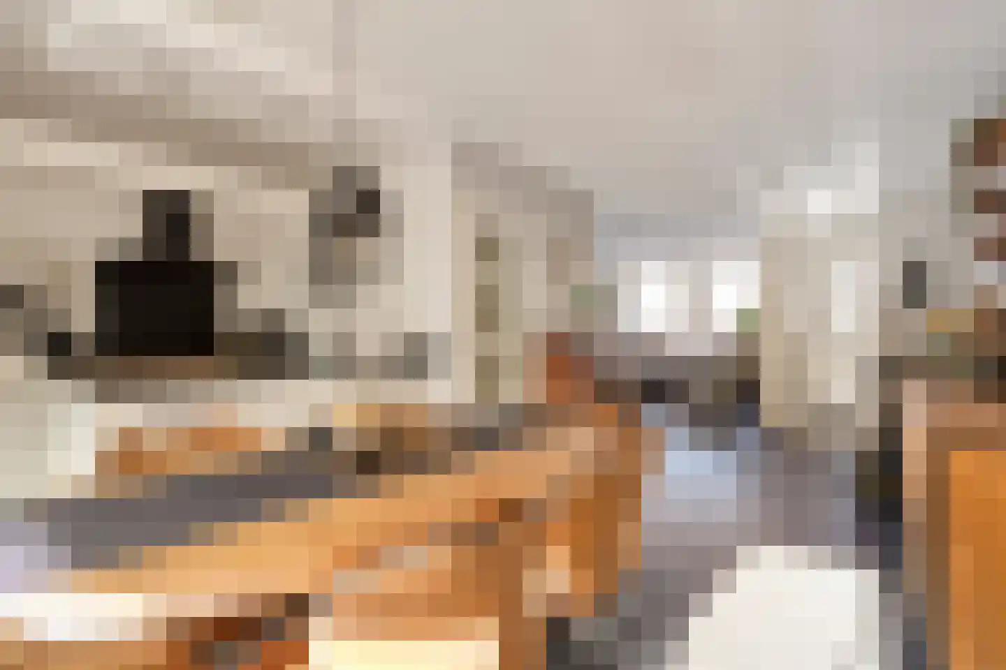 In de Bongerd 21 Bunde thumbnail 11