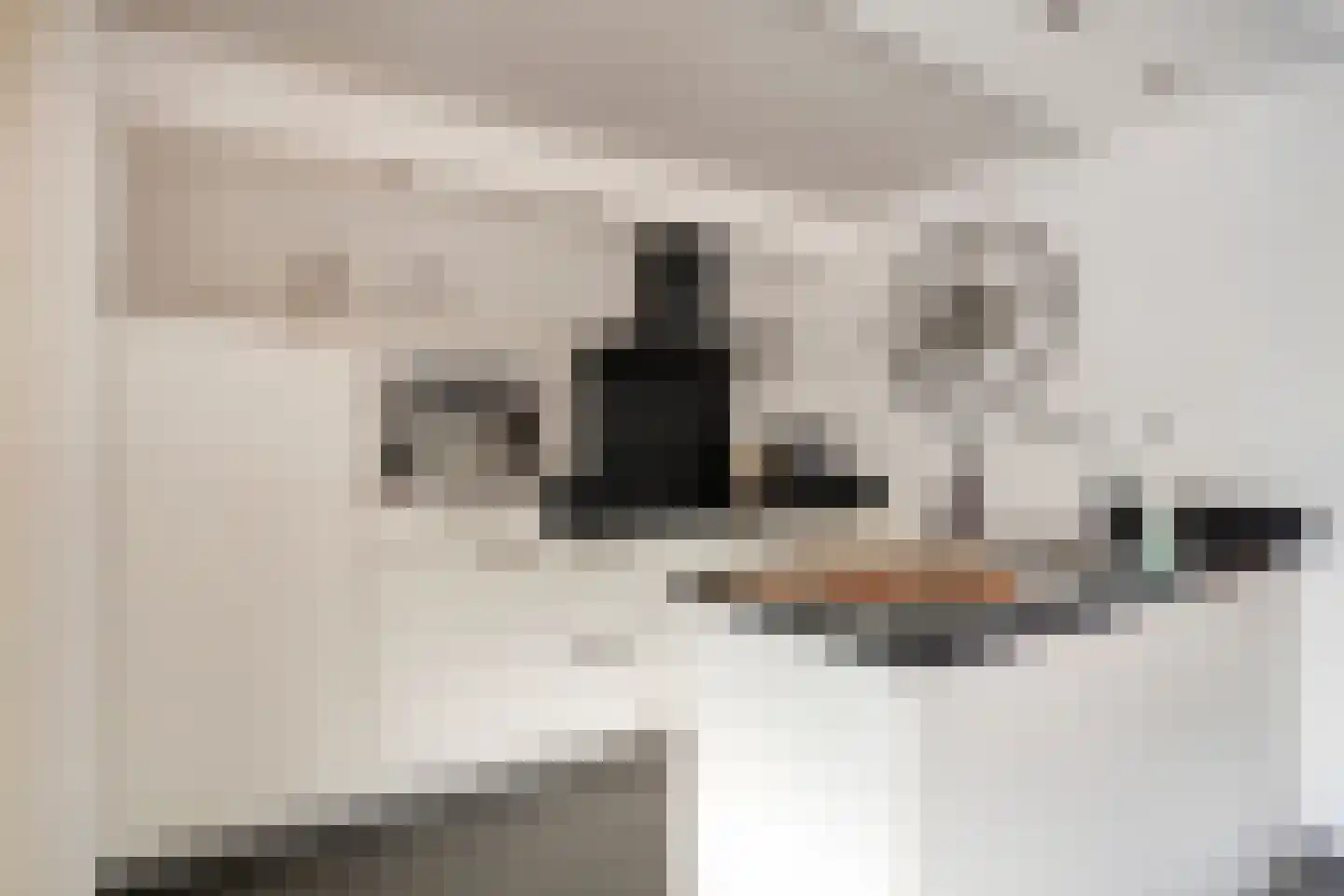 In de Bongerd 21 Bunde thumbnail 12