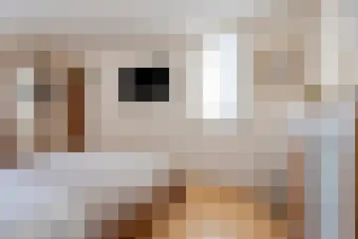 In de Bongerd 21 Bunde thumbnail 13