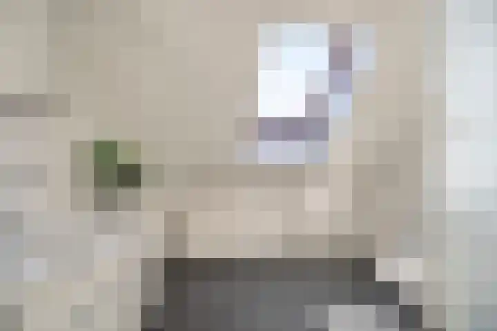 In de Bongerd 21 Bunde thumbnail 15