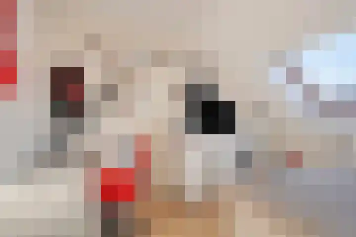 In de Bongerd 21 Bunde thumbnail 17