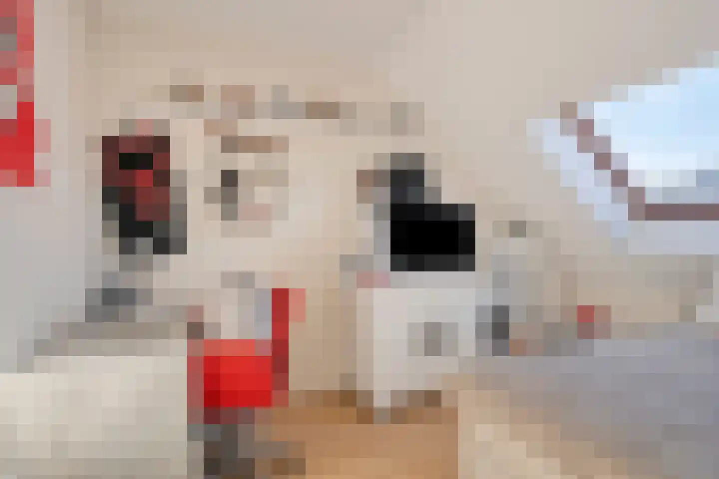 In de Bongerd 21 Bunde thumbnail 20