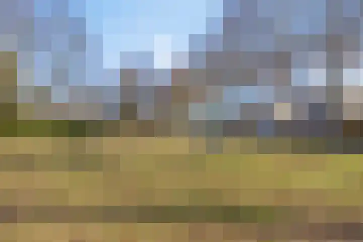 In de Bongerd 21 Bunde thumbnail 25