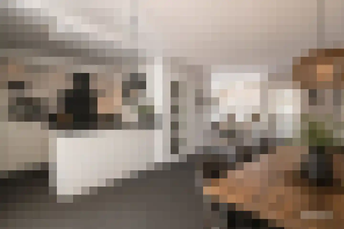 In de Bongerd 21 Bunde thumbnail 4