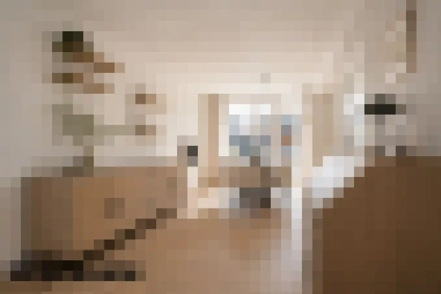 In de Bongerd 21 Bunde thumbnail 7