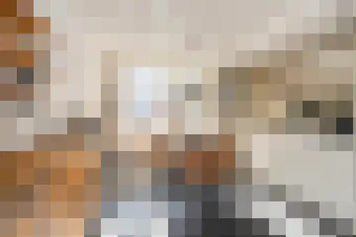 In de Bongerd 21 Bunde thumbnail 7