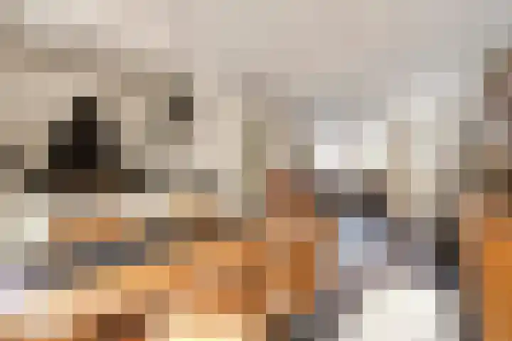 In de Bongerd 21 Bunde thumbnail 8