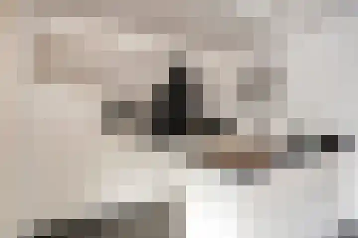 In de Bongerd 21 Bunde thumbnail 9