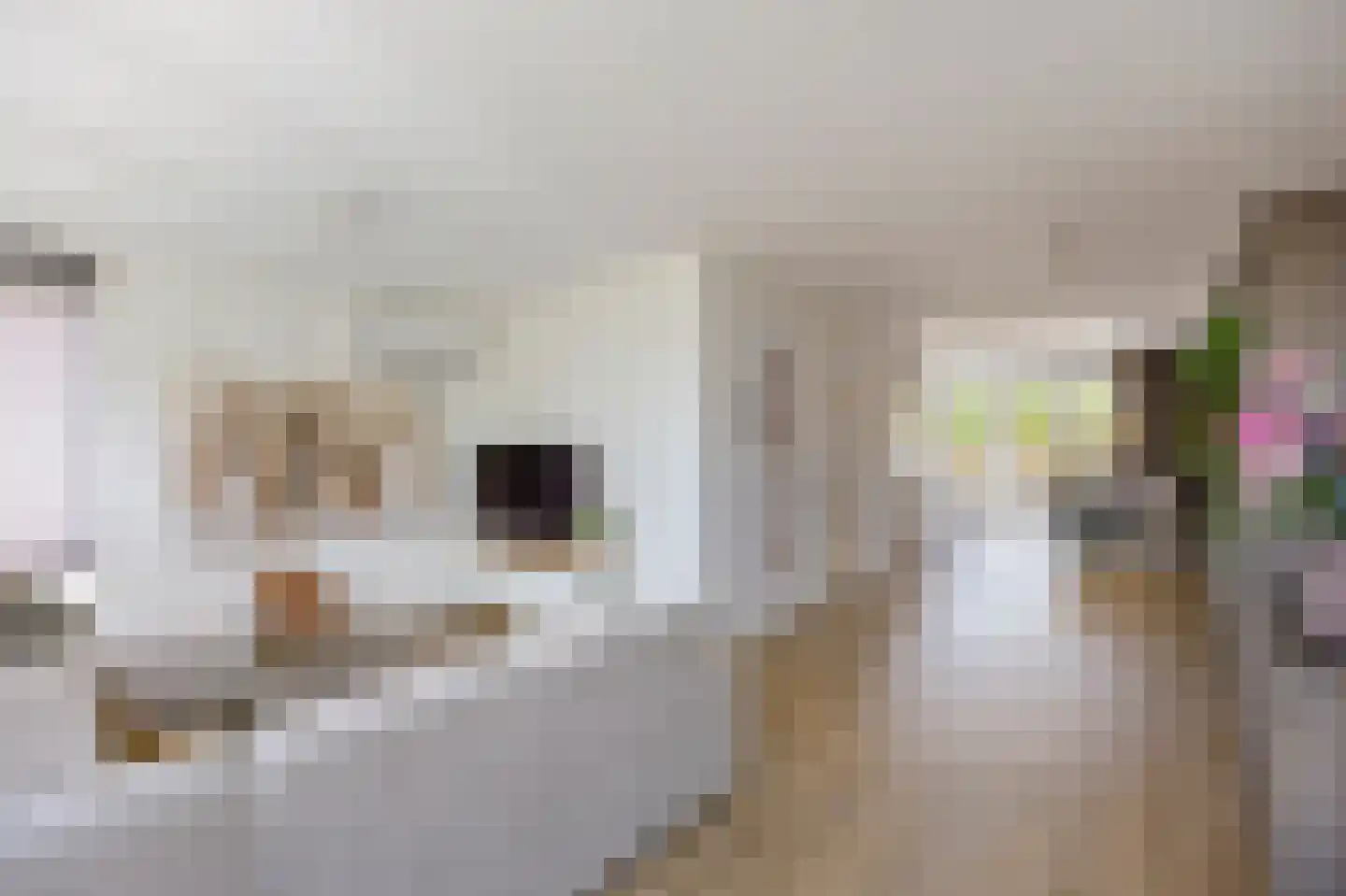 In de Bóngerd 22 Nieuwstadt thumbnail 13